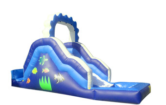 Medium Water Slide